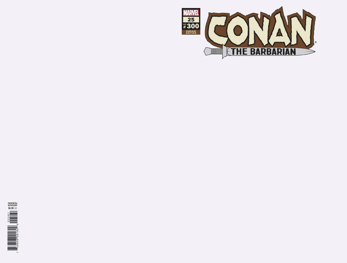 Conan the Barbarian #25 Blank Sketch Cover (2021)